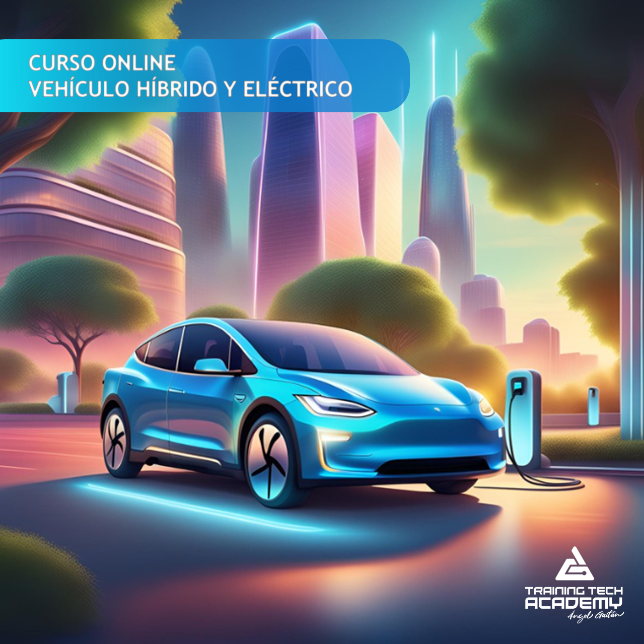 Descripción de la imagen